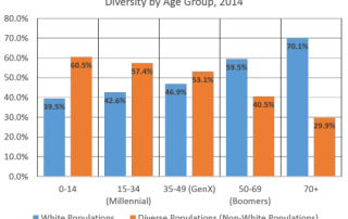 Racial Composition by Age, 20-County Atlanta Region