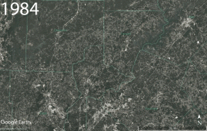 GIF of satellite imagery of the tree cover in the northern 10-county Atlanta Region between 1984 and 2016