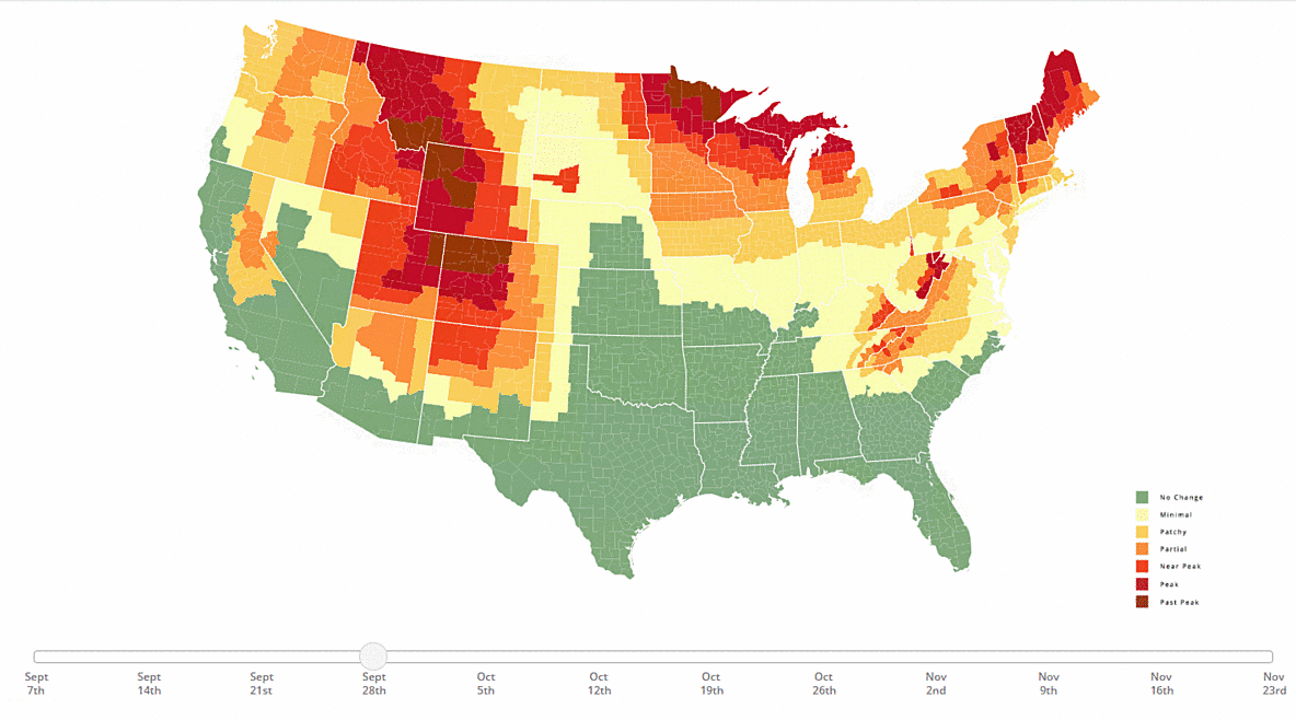 Animated Map of the Fall Foliage Forecast for the United States