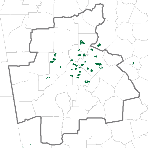 Dot density map showing the locations of people born in Saudi Arabia and residing in and near the Atlanta MSA, according to the U.S. Census Bureau's American Community Survey 2024 5-year Estimates